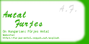 antal furjes business card